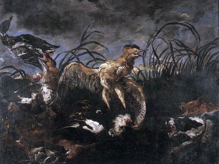 Bittern and Ducks Startled by Dogs by Jan Fyt - Hand-Painted Oil Painting on Canvas Online Hot Sale